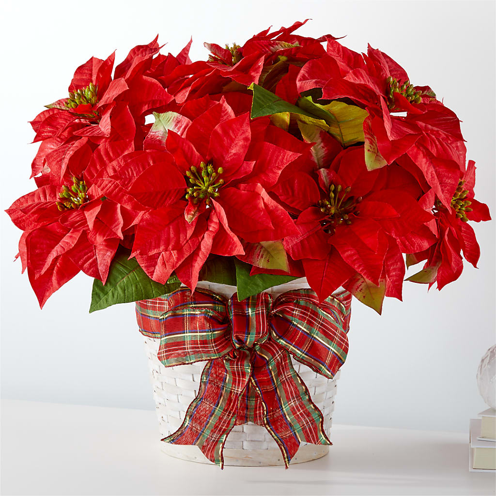Happiest Holidays Poinsettia – Bella Fleur Sweets And Gifts Inc, Aurora IL