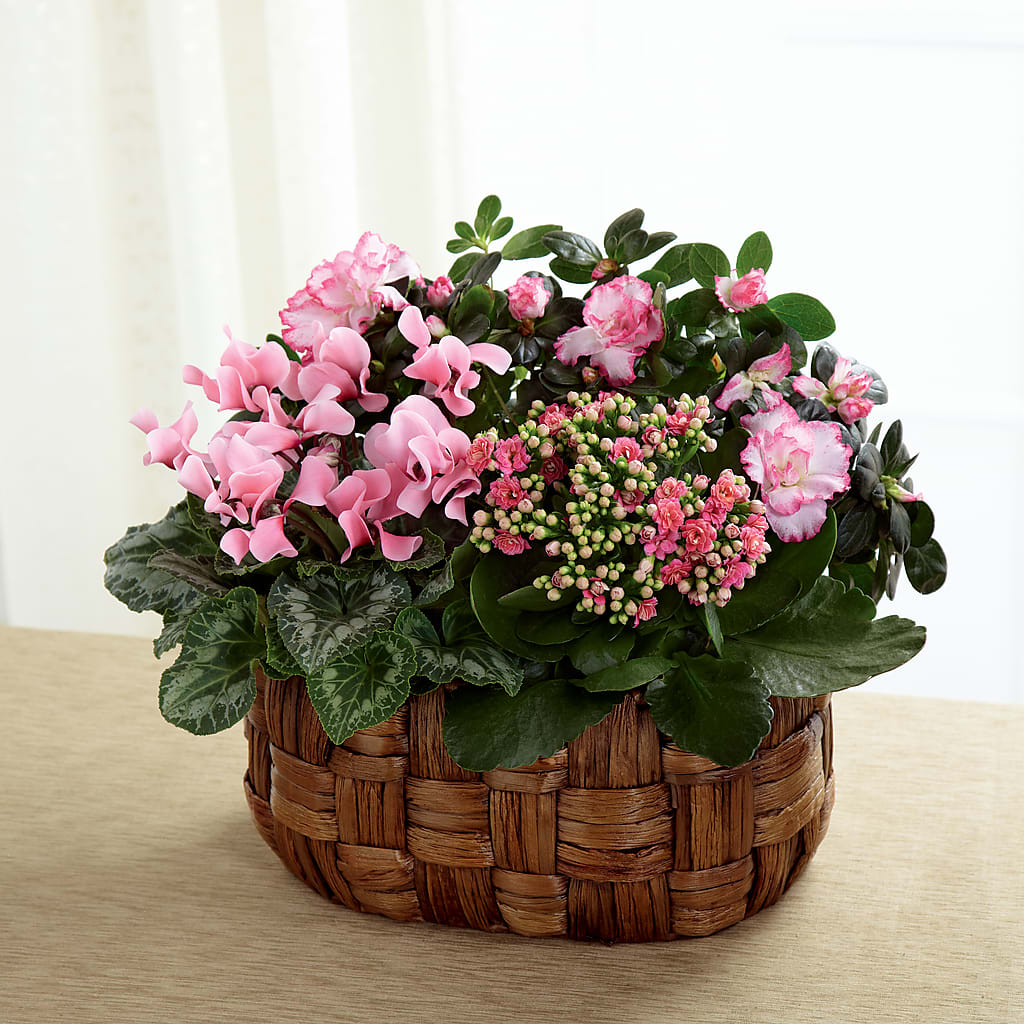 Pink Assortment – Bella Fleur Sweets And Gifts Inc, Aurora IL