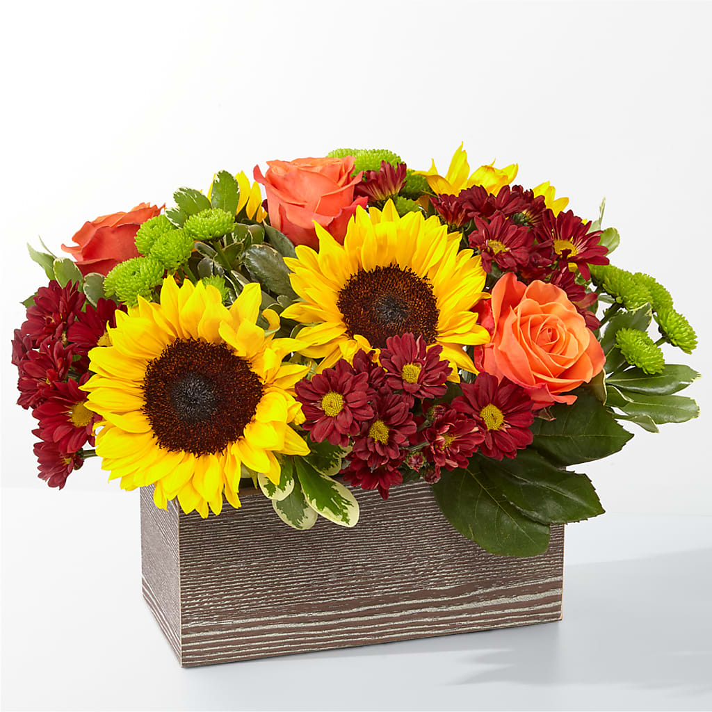 Happy Harvest Garden – Bella Fleur Sweets And Gifts Inc, Aurora IL