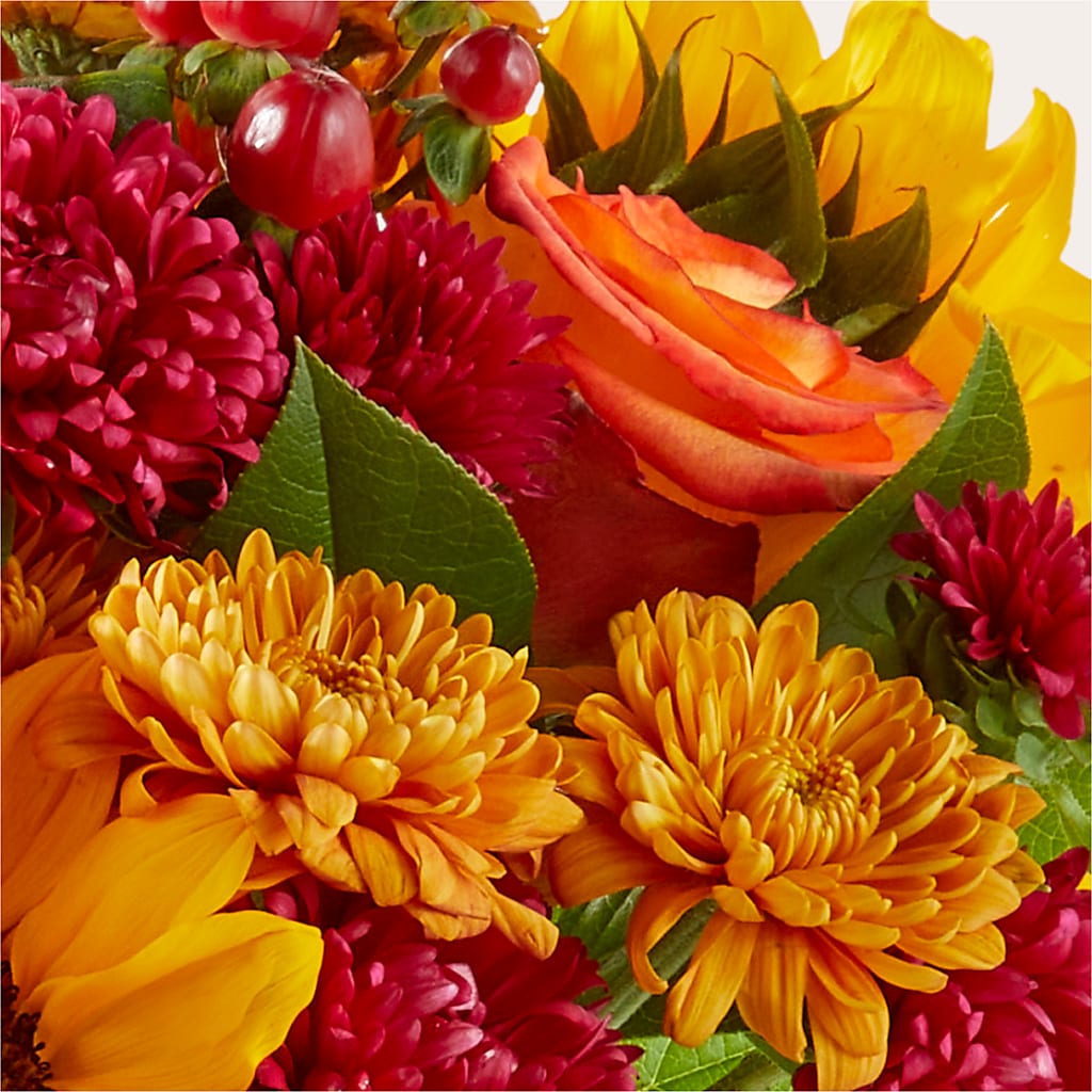 Sweater Season - A Florist Original – Bella Fleur Sweets And Gifts Inc, Aurora IL