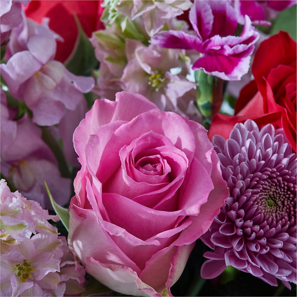 Better Together - A Luxury Florist Original – Bella Fleur Sweets And Gifts Inc, Aurora IL