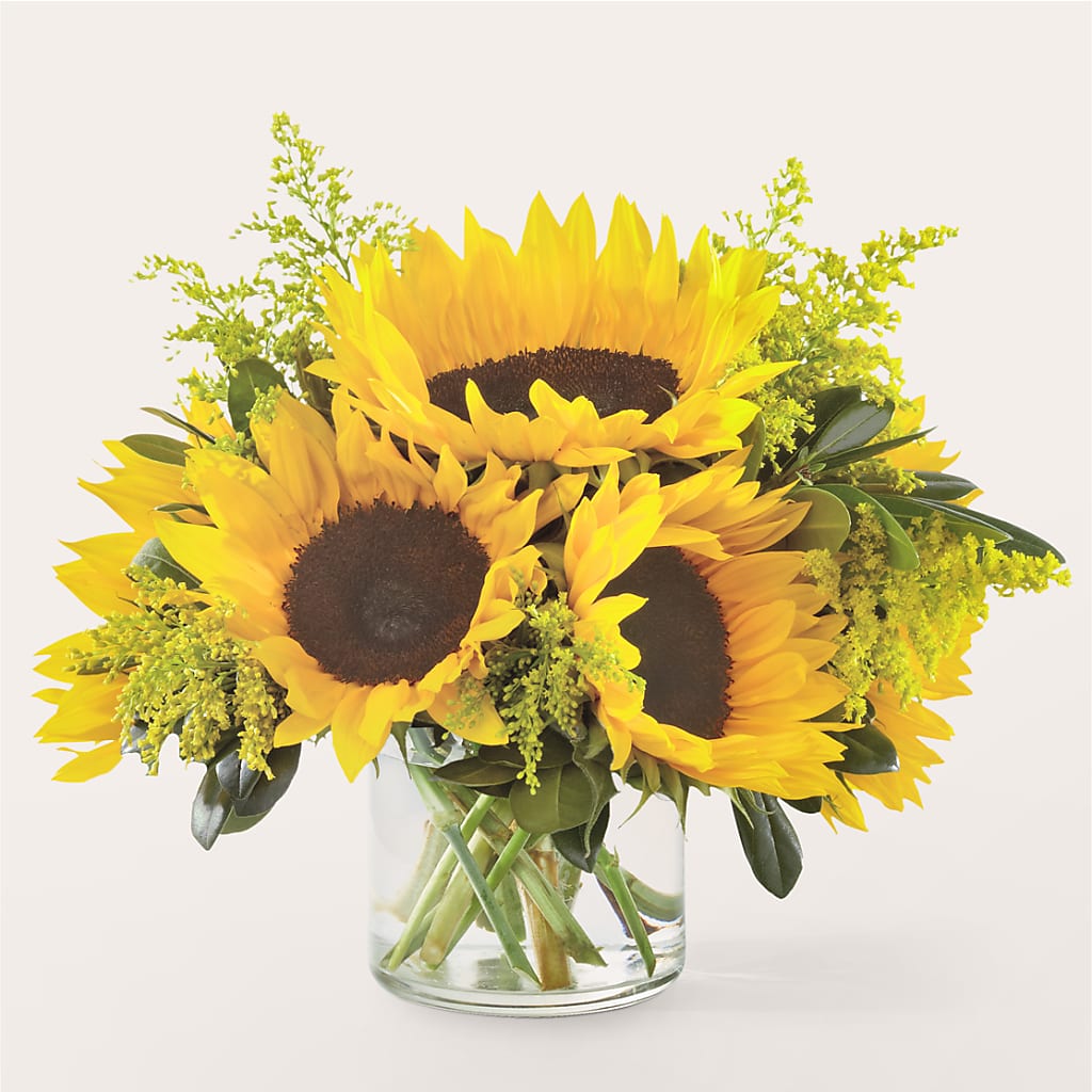 Beaming Sunflower Bouquet – Bella Fleur Sweets And Gifts Inc, Aurora IL