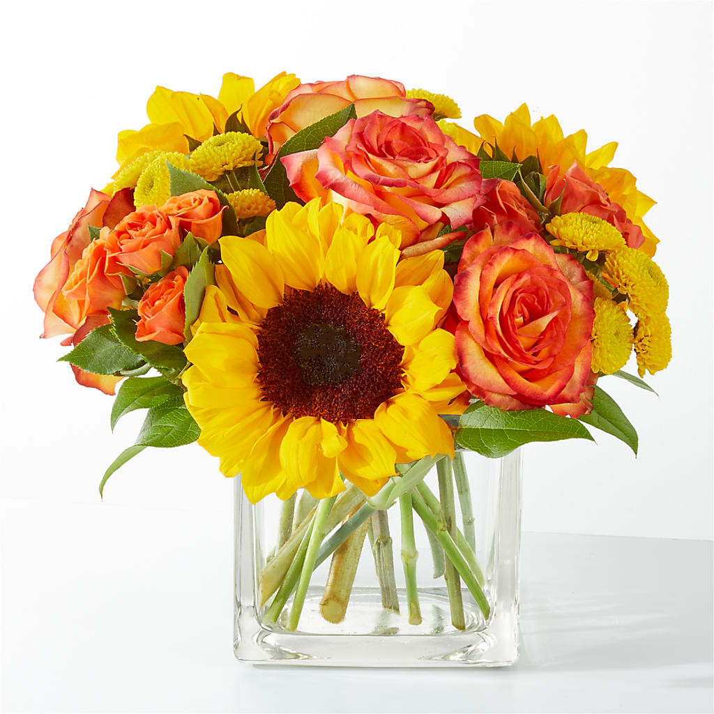 Picnic in the Park Bouquet – Bella Fleur Sweets And Gifts Inc, Aurora IL