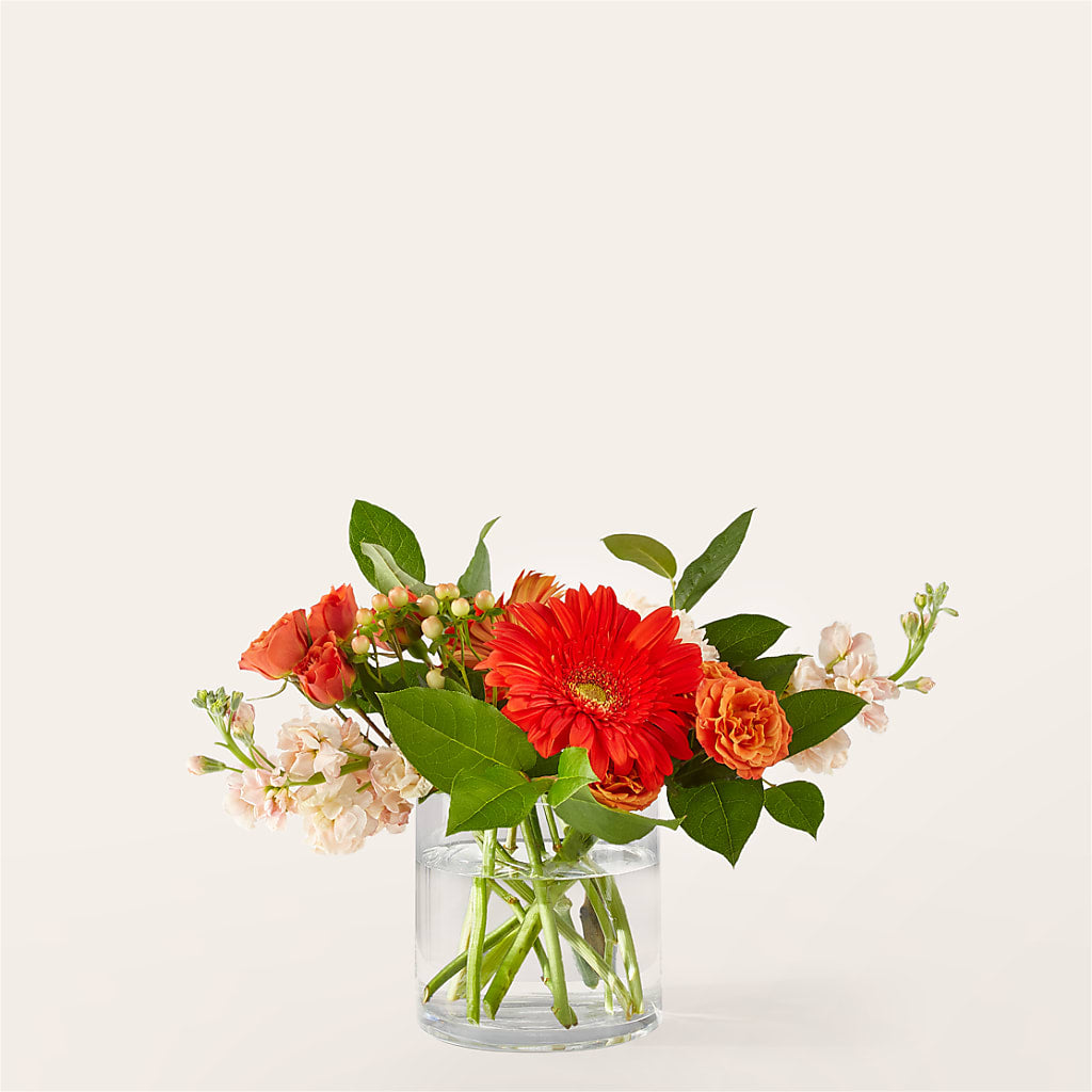 Paloma Please Bouquet – Bella Fleur Sweets And Gifts Inc, Aurora IL