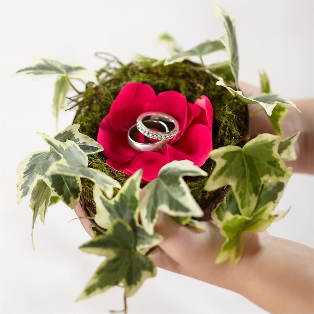 Lila Rose Ring Nest – Bella Fleur Sweets And Gifts Inc, Aurora IL