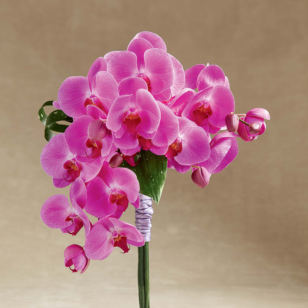 Glorious Bouquet – Bella Fleur Sweets And Gifts Inc, Aurora IL