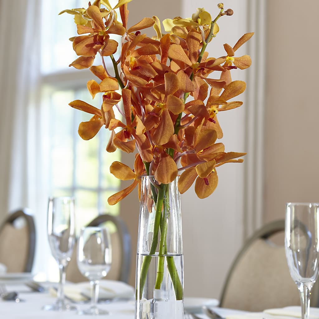 Orange Mokara Bud Vase – Bella Fleur Sweets And Gifts Inc, Aurora IL