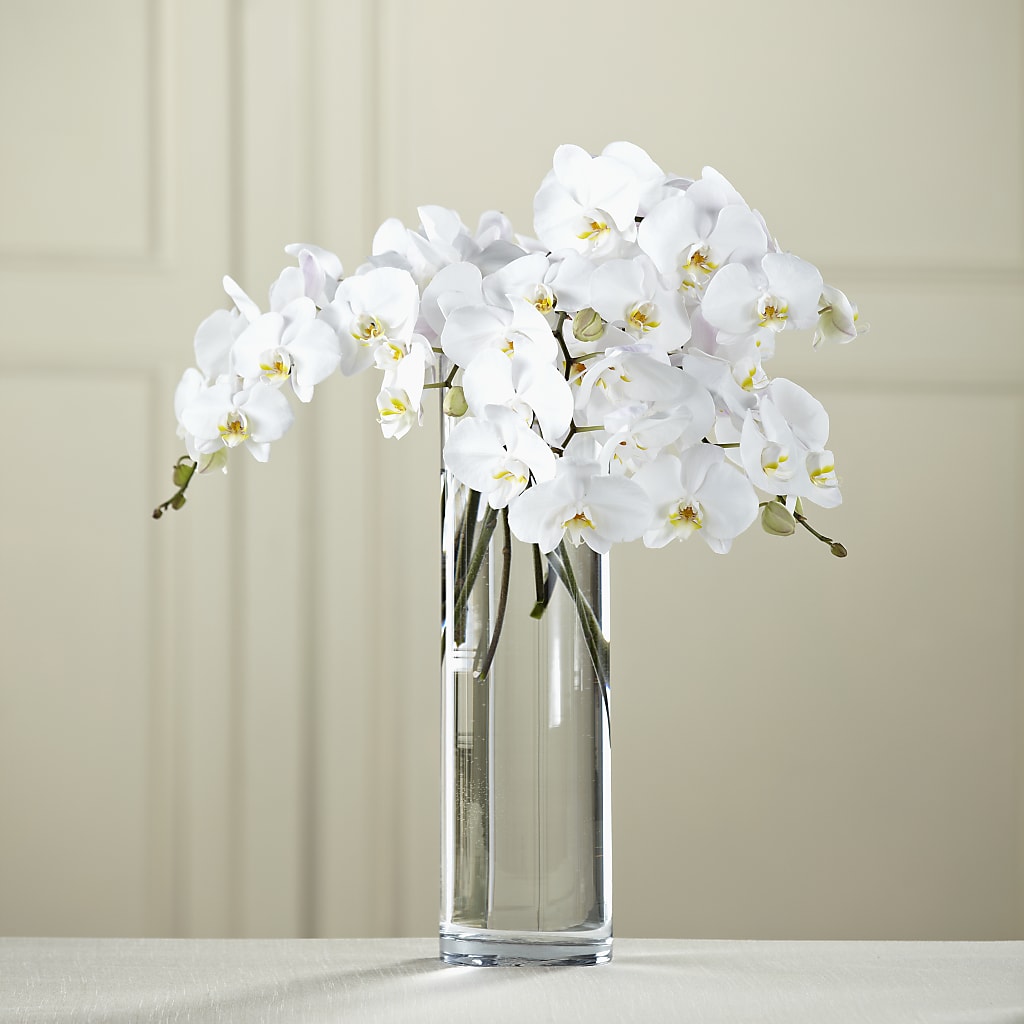 White Phalaenopsis Bouquet – Bella Fleur Sweets And Gifts Inc, Aurora IL