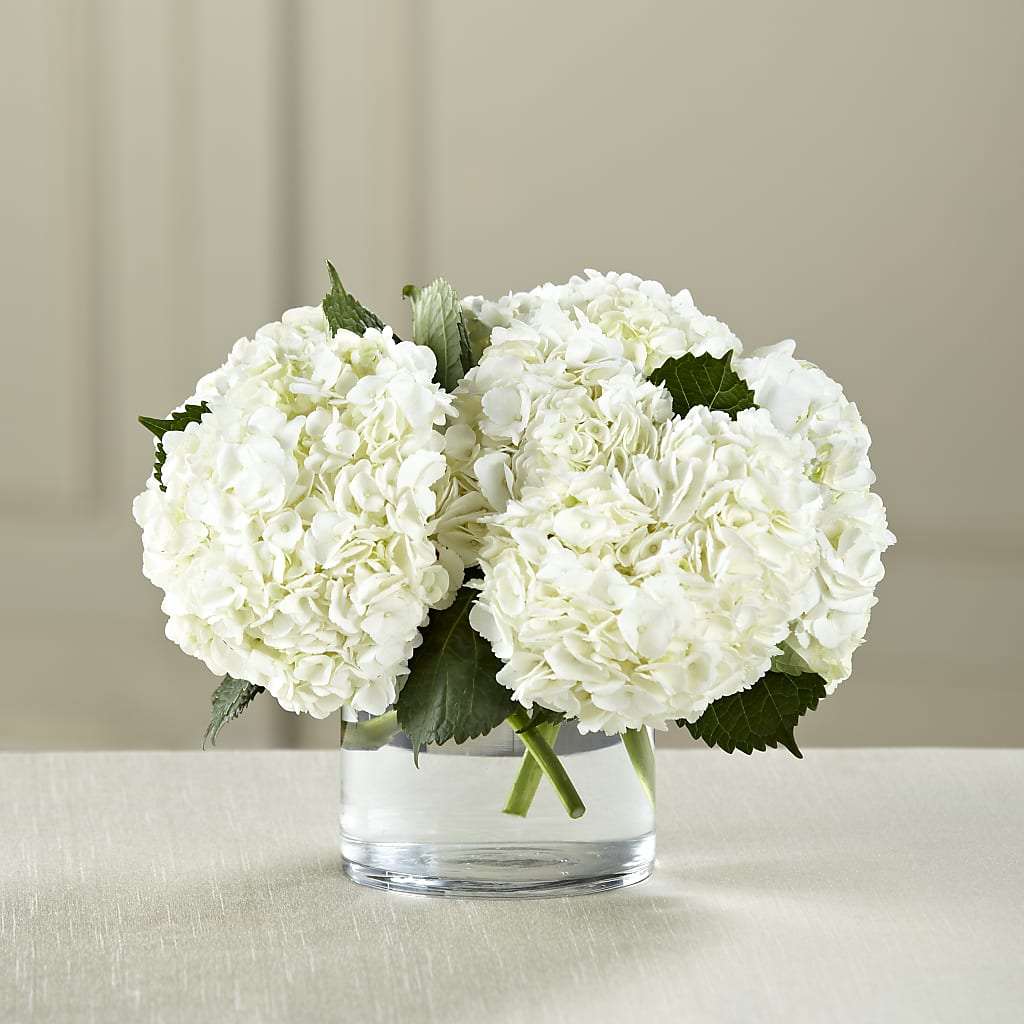 White Hydrangea Bouquet – Bella Fleur Sweets And Gifts Inc, Aurora IL