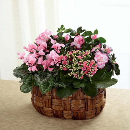 Pink Assortment –  Bella Fleur Sweets And Gifts Inc, Aurora IL