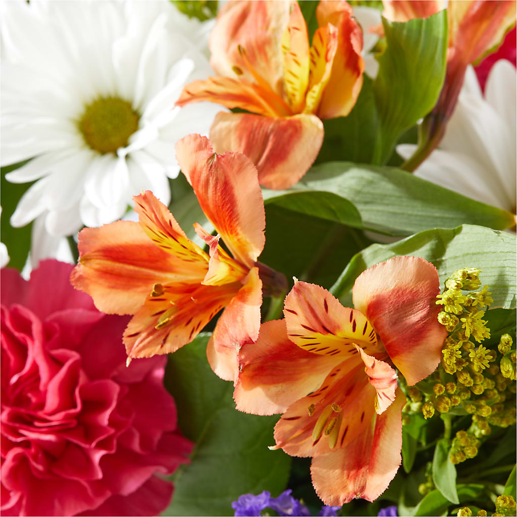 Oopsie Daisy Box Bouquet –  Bella Fleur Sweets And Gifts Inc, Aurora IL