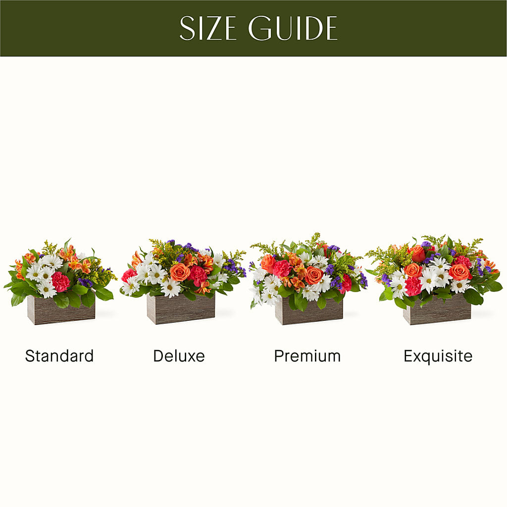 Oopsie Daisy Box Bouquet –  Bella Fleur Sweets And Gifts Inc, Aurora IL