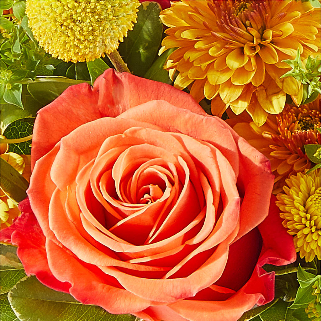 Gourdgeous Pumpkin –  Bella Fleur Sweets And Gifts Inc, Aurora IL