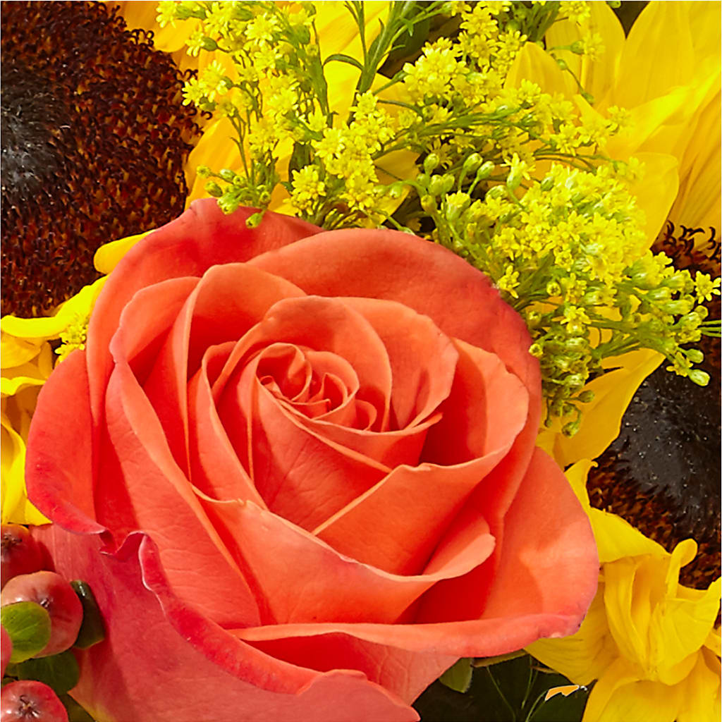 Pick of the Patch Pumpkin Bouquet –  Bella Fleur Sweets And Gifts Inc, Aurora IL