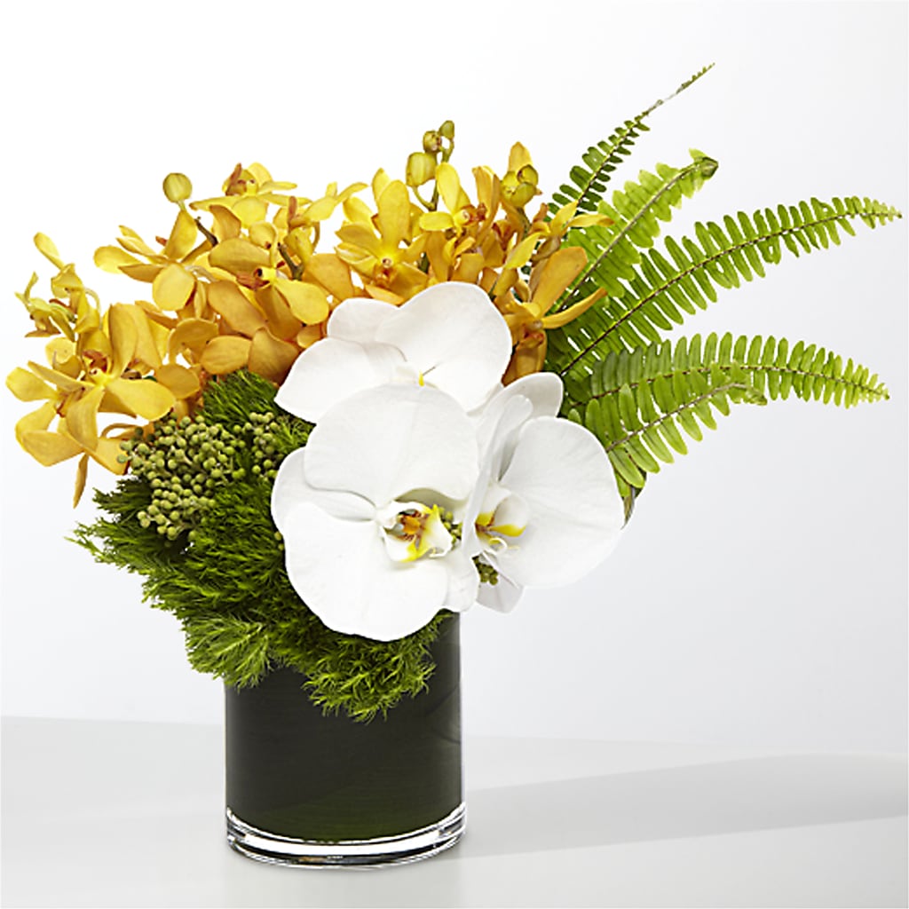The Tropics –  Bella Fleur Sweets And Gifts Inc, Aurora IL