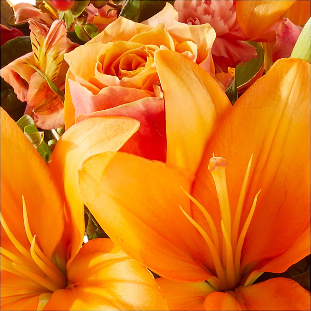 Afternoon Light Bouquet –  Bella Fleur Sweets And Gifts Inc, Aurora IL