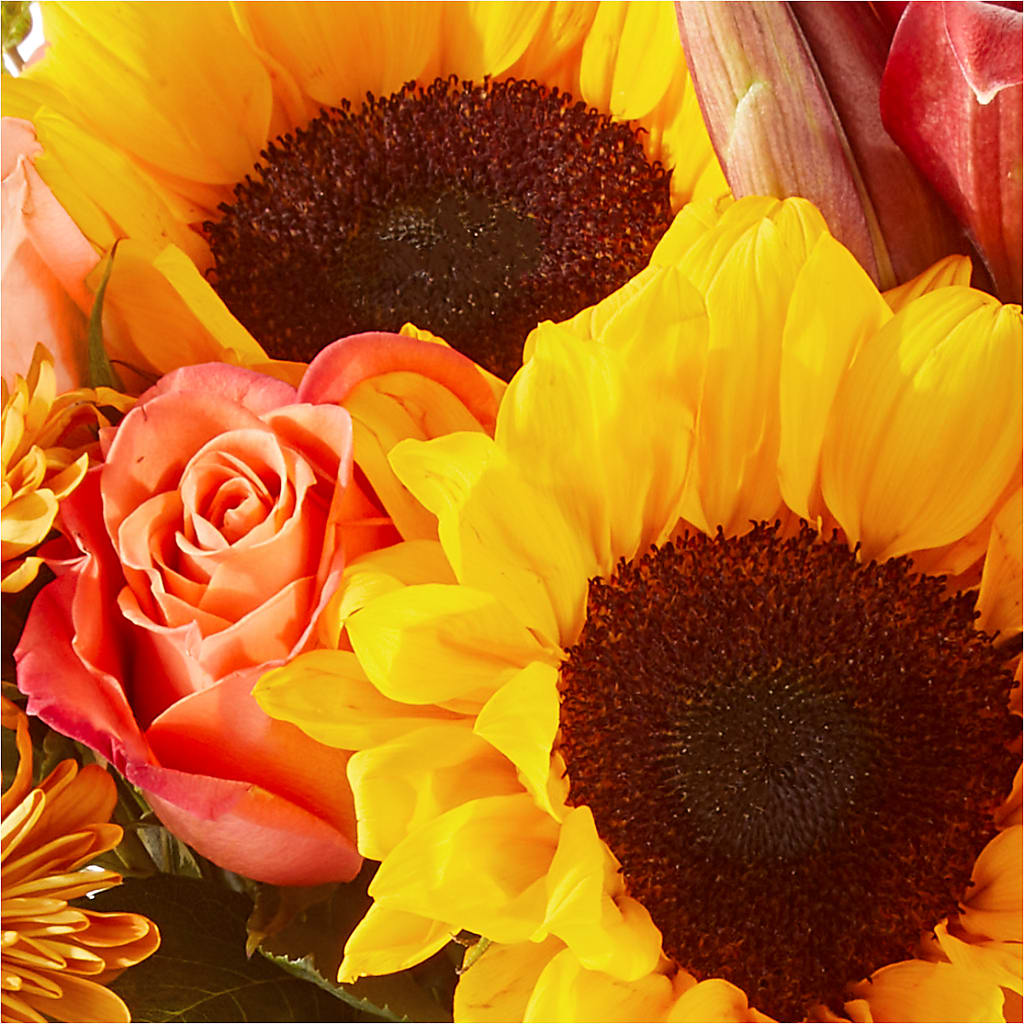 Acorn Lane Bouquet –  Bella Fleur Sweets And Gifts Inc, Aurora IL
