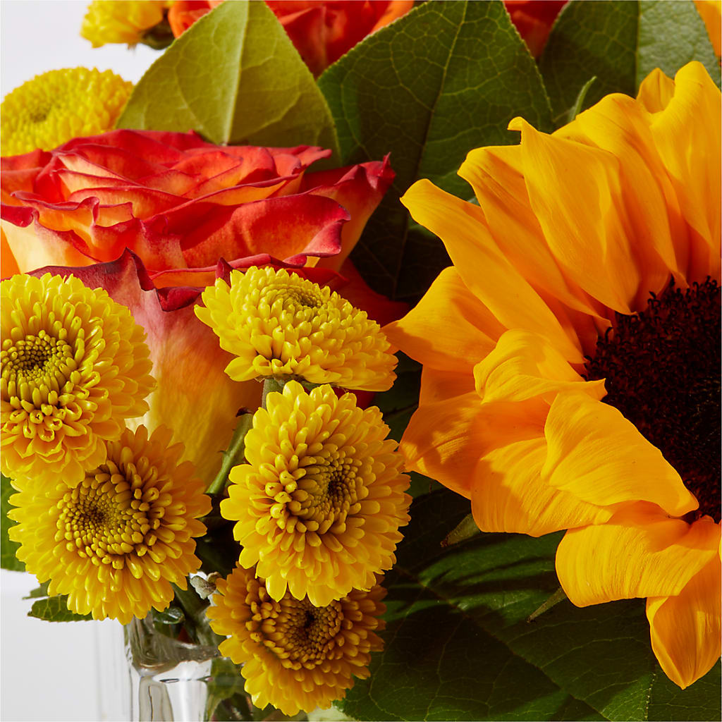 Picnic in the Park Bouquet –  Bella Fleur Sweets And Gifts Inc, Aurora IL