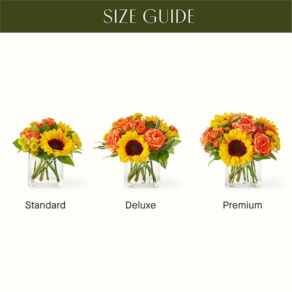 Picnic in the Park Bouquet –  Bella Fleur Sweets And Gifts Inc, Aurora IL