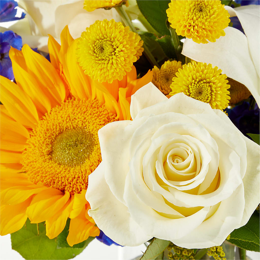 Stargazing Bouquet –  Bella Fleur Sweets And Gifts Inc, Aurora IL