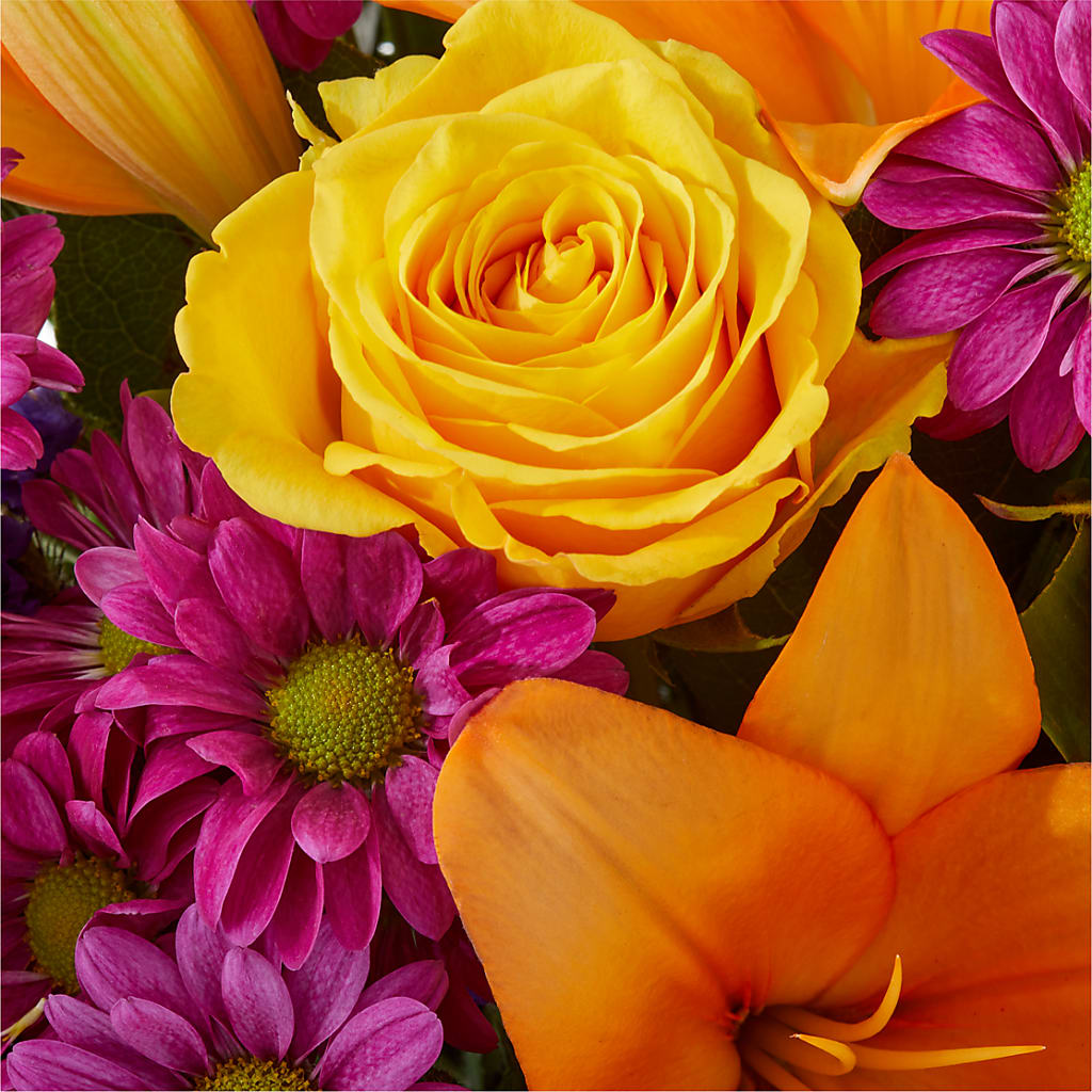 Colorful Visions Bouquet –  Bella Fleur Sweets And Gifts Inc, Aurora IL