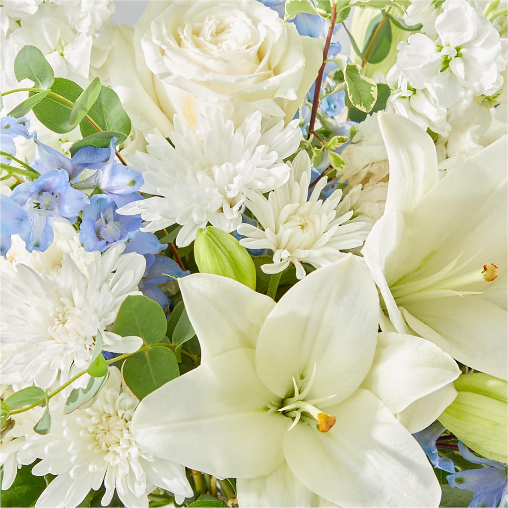 Peace of Mind Bouquet –  Bella Fleur Sweets And Gifts Inc, Aurora IL
