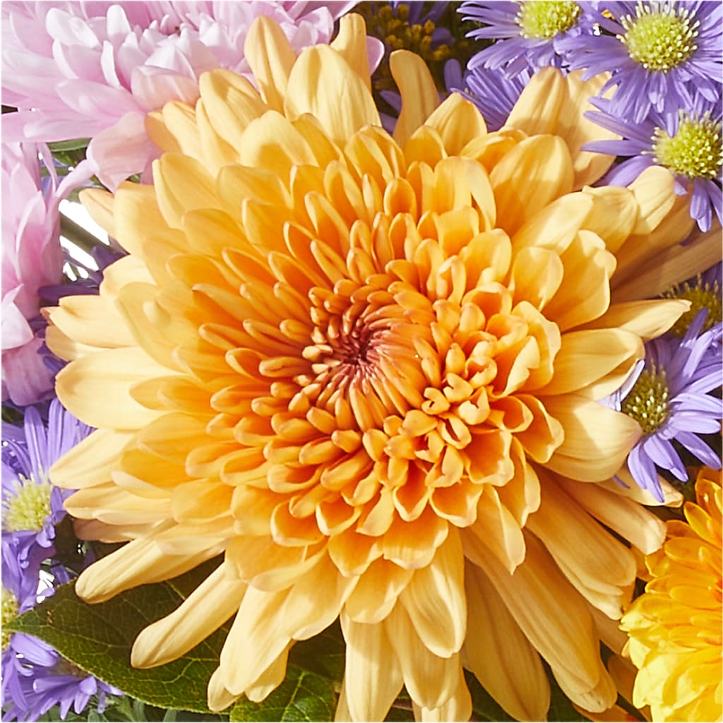 Countryside Bouquet –  Bella Fleur Sweets And Gifts Inc, Aurora IL