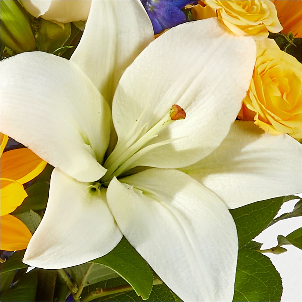 Wonderfully Sunny Bouquet –  Bella Fleur Sweets And Gifts Inc, Aurora IL