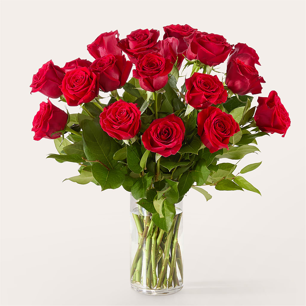 The One Red Rose Bouquet –  Bella Fleur Sweets And Gifts Inc, Aurora IL