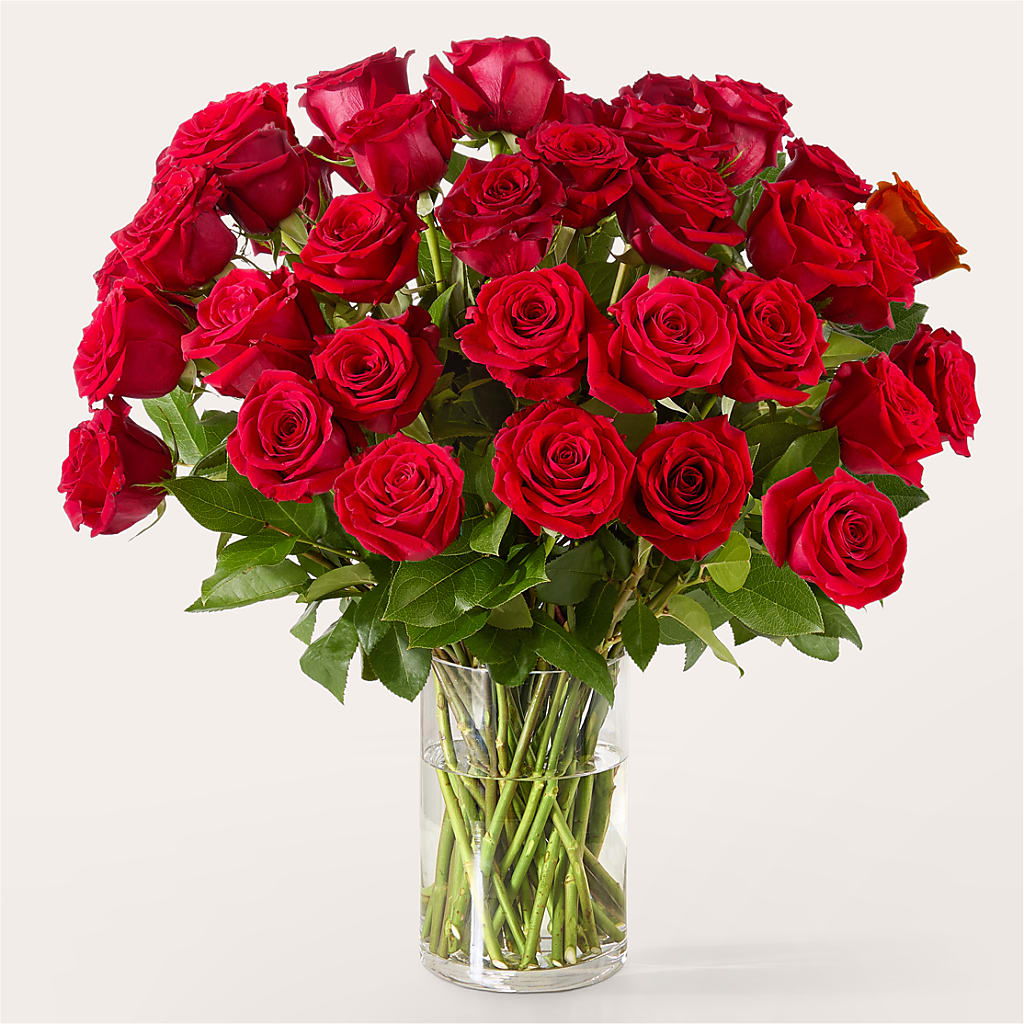 The One Red Rose Bouquet –  Bella Fleur Sweets And Gifts Inc, Aurora IL