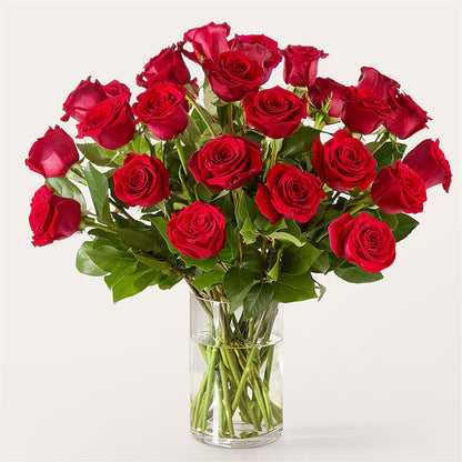 The One Red Rose Bouquet –  Bella Fleur Sweets And Gifts Inc, Aurora IL