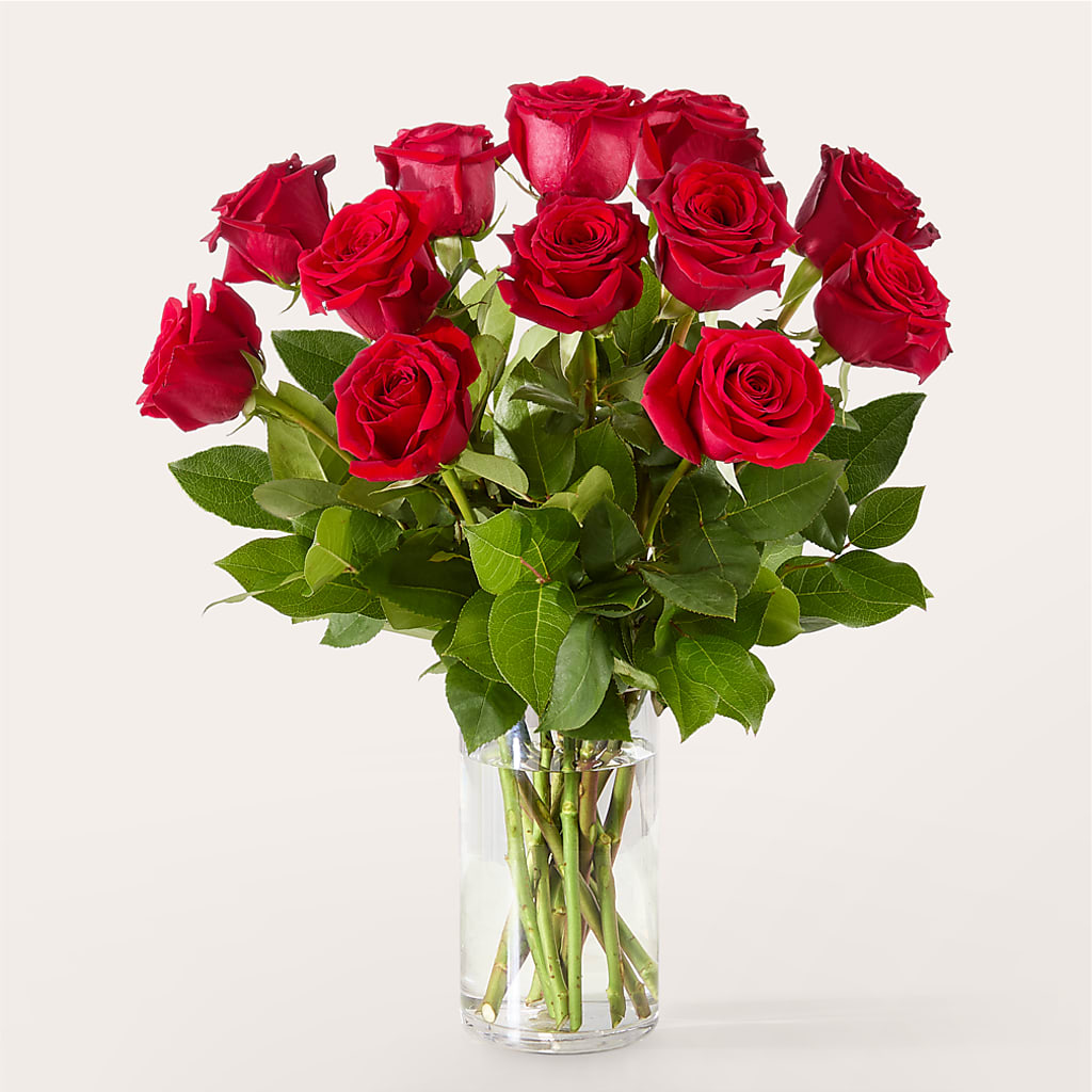 The One Red Rose Bouquet –  Bella Fleur Sweets And Gifts Inc, Aurora IL
