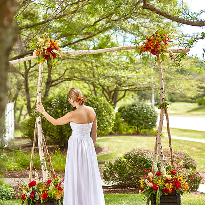 Arbor of Love Archway –  Bella Fleur Sweets And Gifts Inc, Aurora IL
