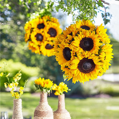 Sublime Garden Hanging Arrangement –  Bella Fleur Sweets And Gifts Inc, Aurora IL