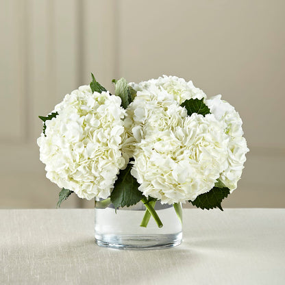 White Hydrangea Bouquet –  Bella Fleur Sweets And Gifts Inc, Aurora IL